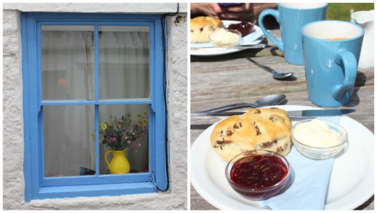 Blue window with vase, and cream tea