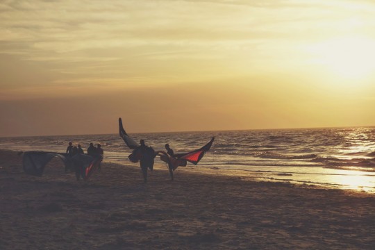 Kites at sunset