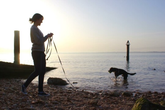 Rusty playing with Rolo on the beach